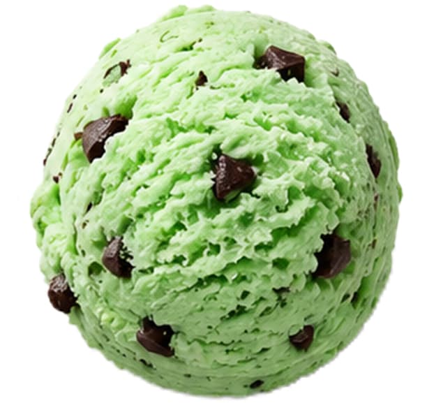 Mint Chocolate Chip Pint
